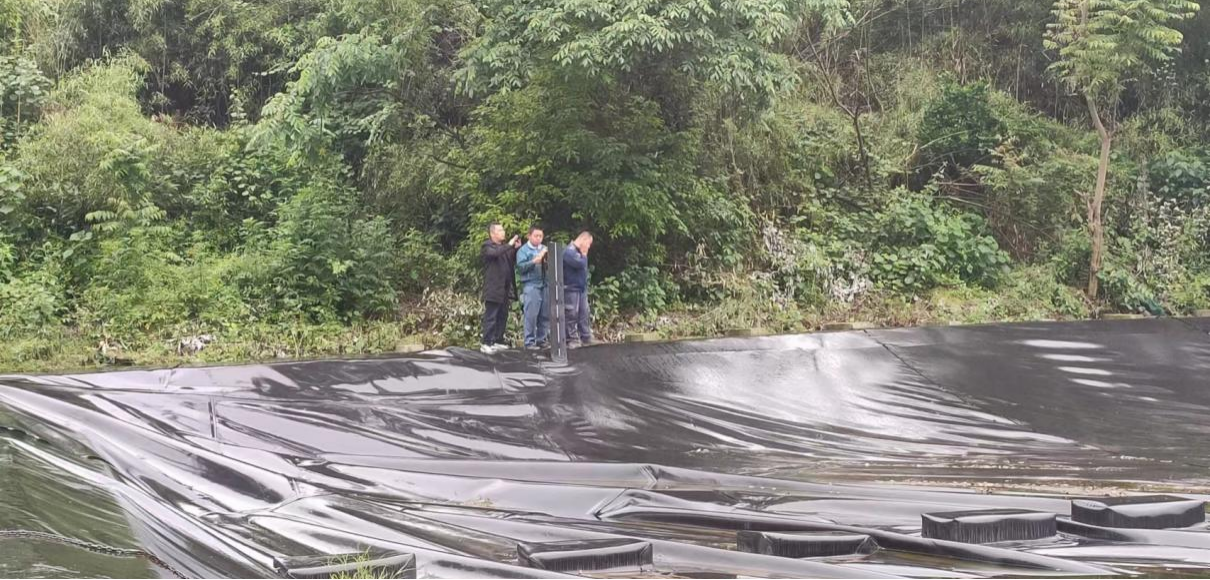 图片11.png 图片11.png