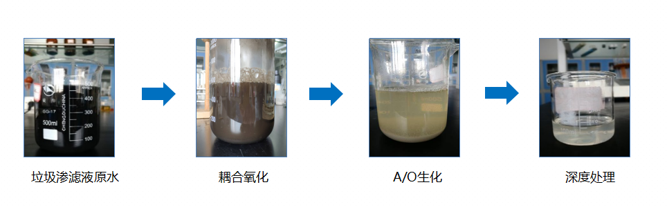 图片4.png 图片4.png