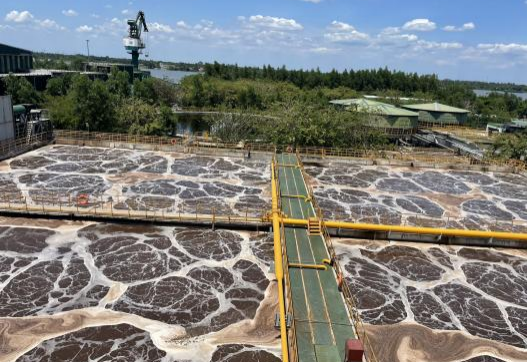 图片1(15).png 图片1(15).png