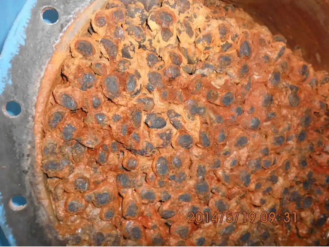 图片6.png 图片6.png